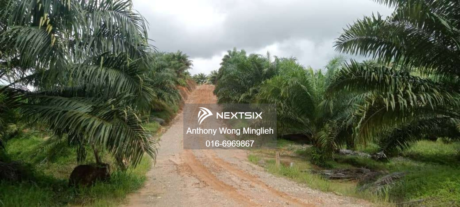 Agricultural Land For Sale in Sandakan Sabah - Image 5