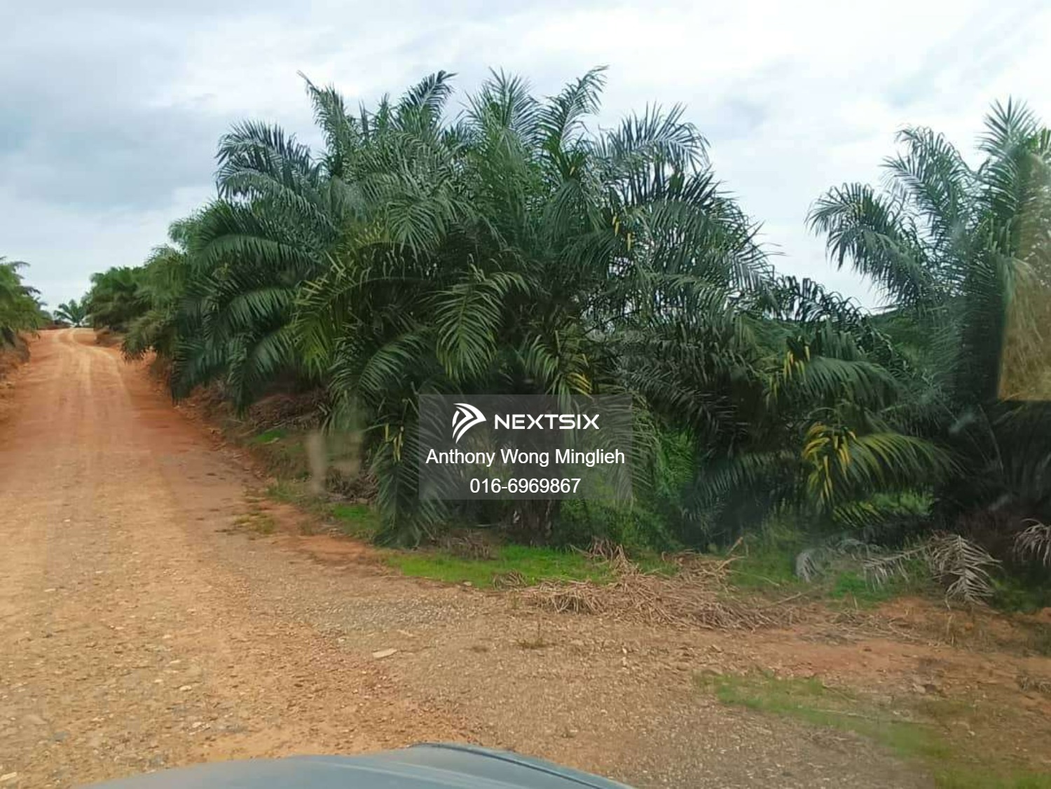 Agricultural Land For Sale in Sandakan Sabah - Image 6