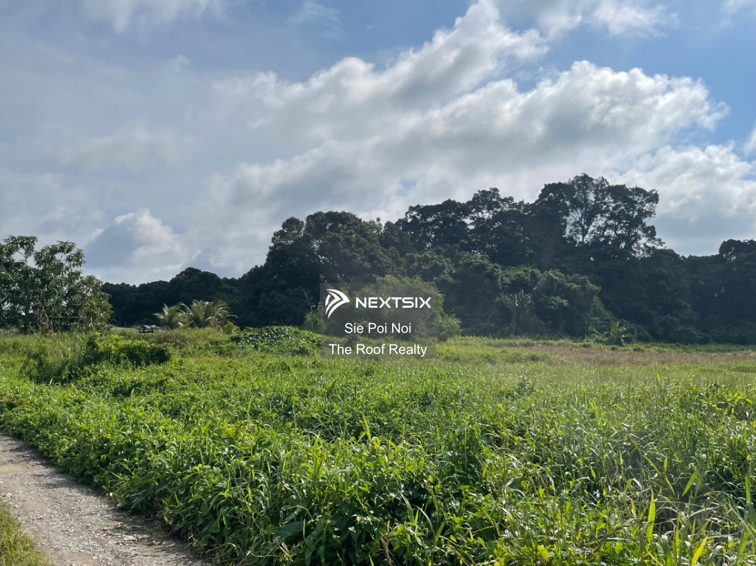 Agricultural Land For Sale in Kuching Sarawak