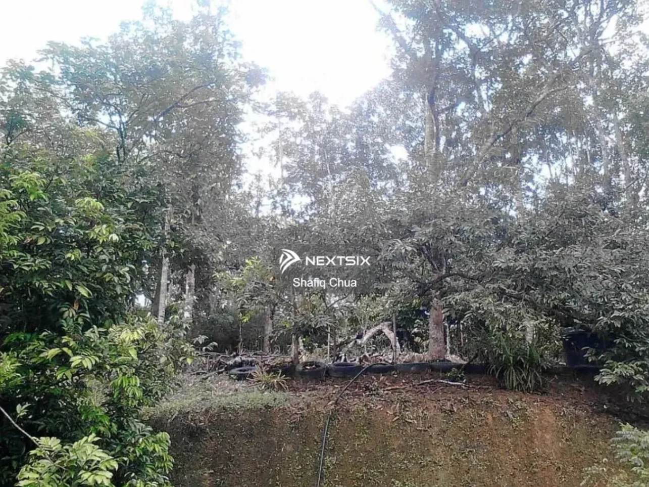 Agricultural Land For Sale in Rembau Negeri Sembilan - Image 9