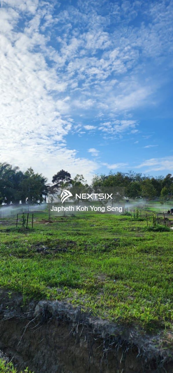 Agricultural Land For Sale in Tangkak Johor