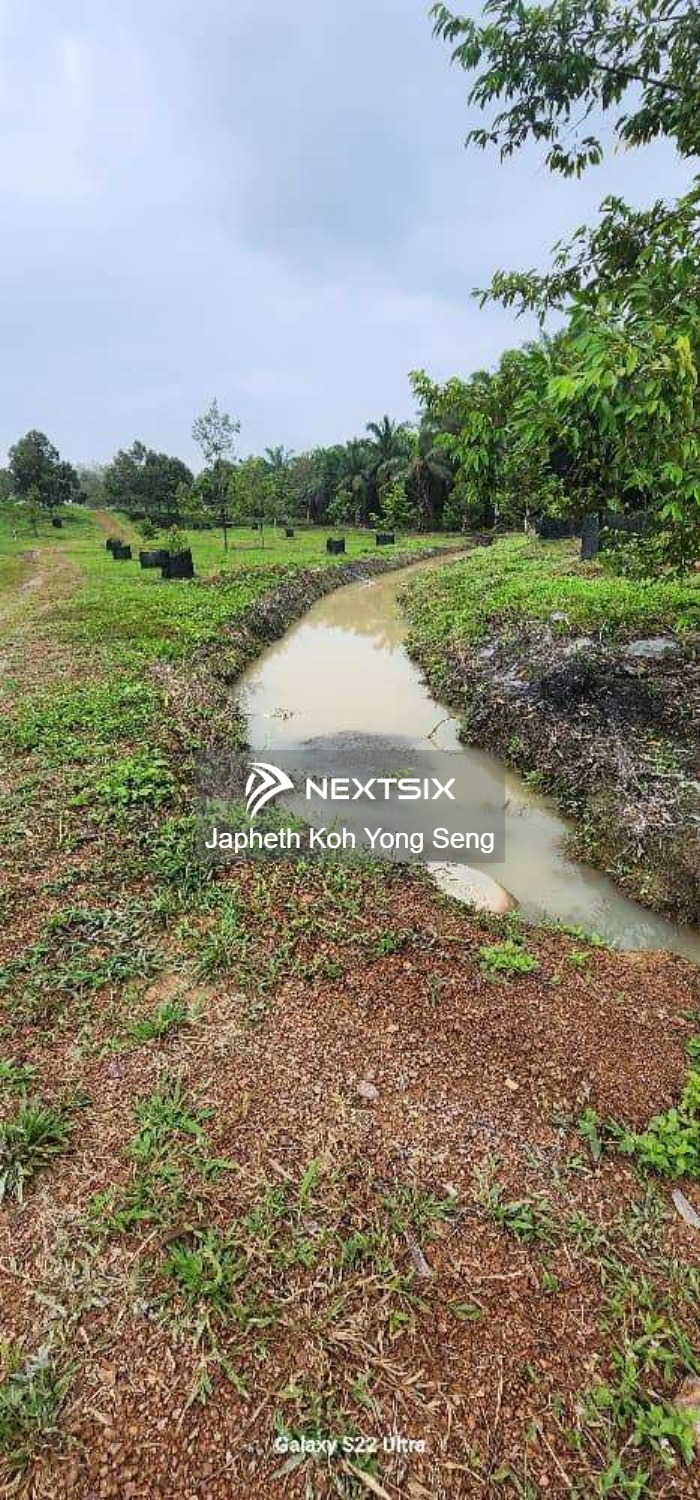 Agricultural Land For Sale in Tangkak Johor - Image 5