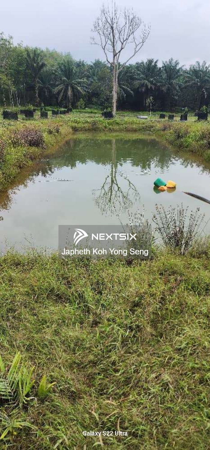 Agricultural Land For Sale in Tangkak Johor - Image 6