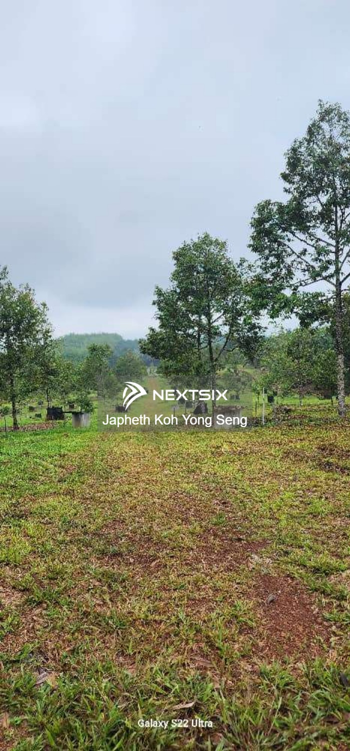 Agricultural Land For Sale in Tangkak Johor - Image 7