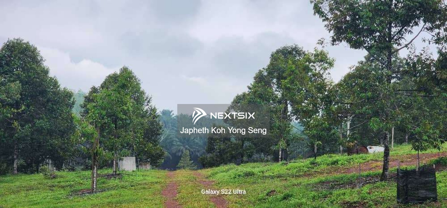 Agricultural Land For Sale in Tangkak Johor - Image 8
