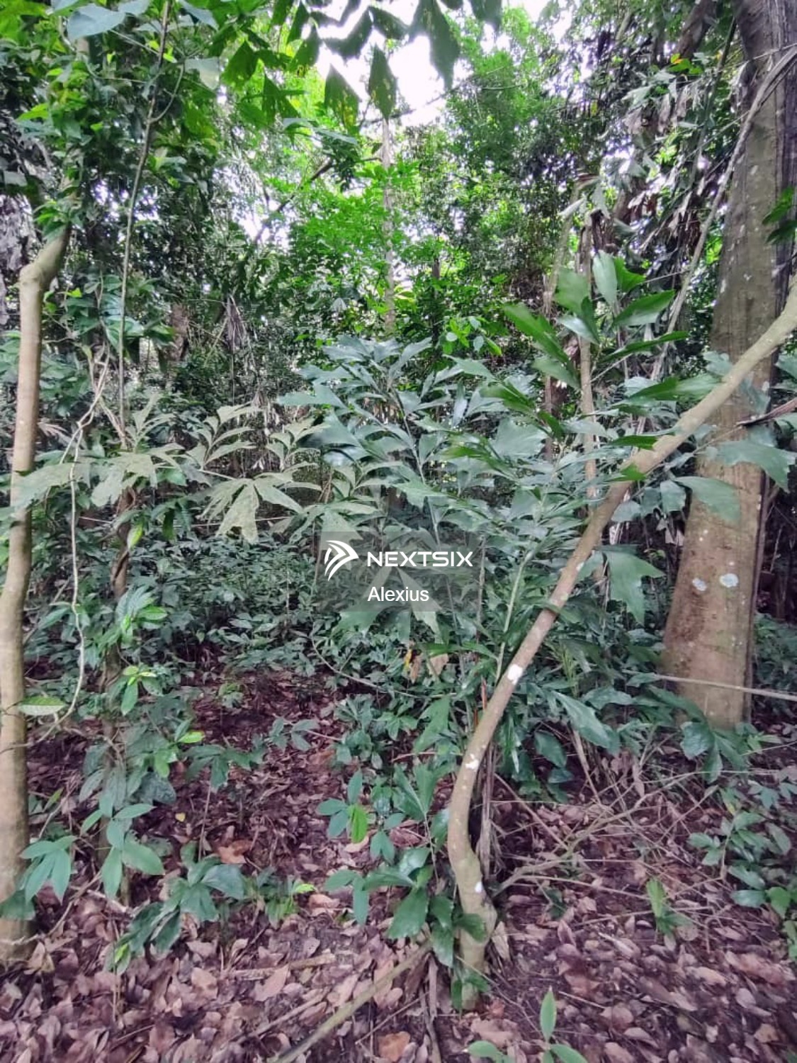 Agricultural Land For Sale in Ulu Tiram Johor - Image 4