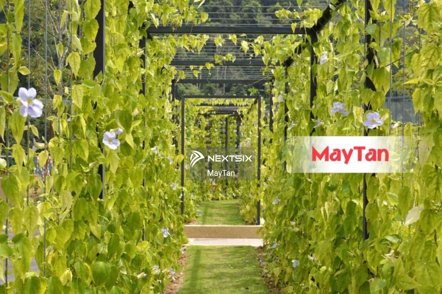 Condominium For Rent in Batu Ferringhi Penang - Image 10