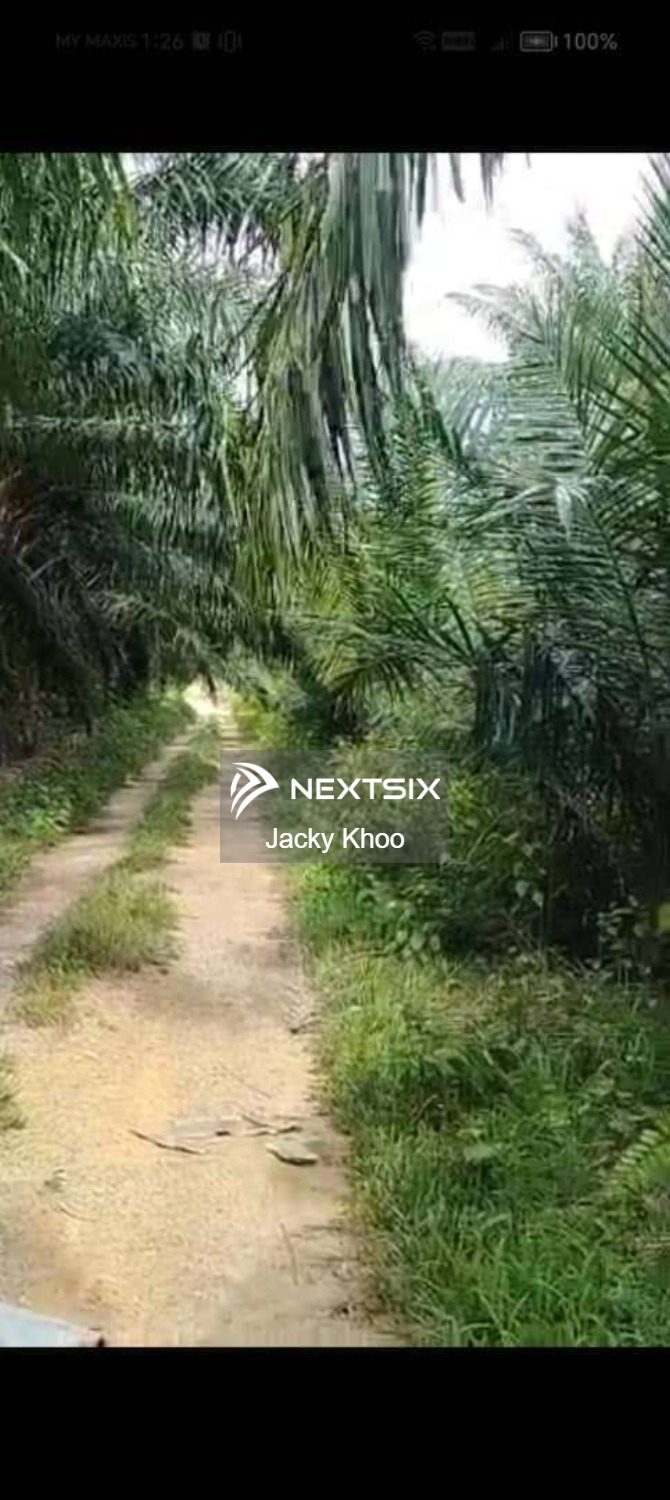 Agricultural Land For Sale in Banting Selangor