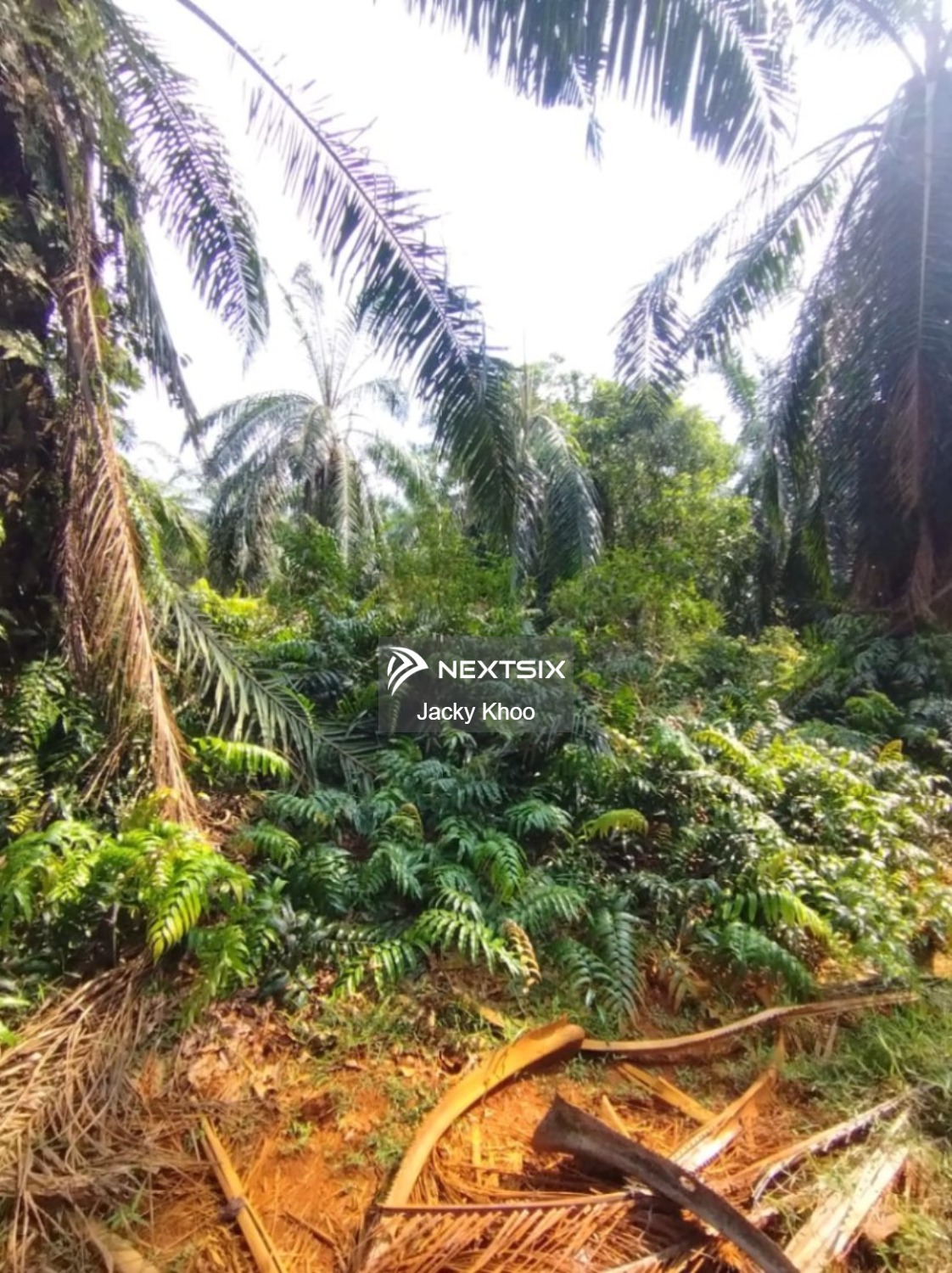 Agricultural Land For Sale in Jeram Selangor