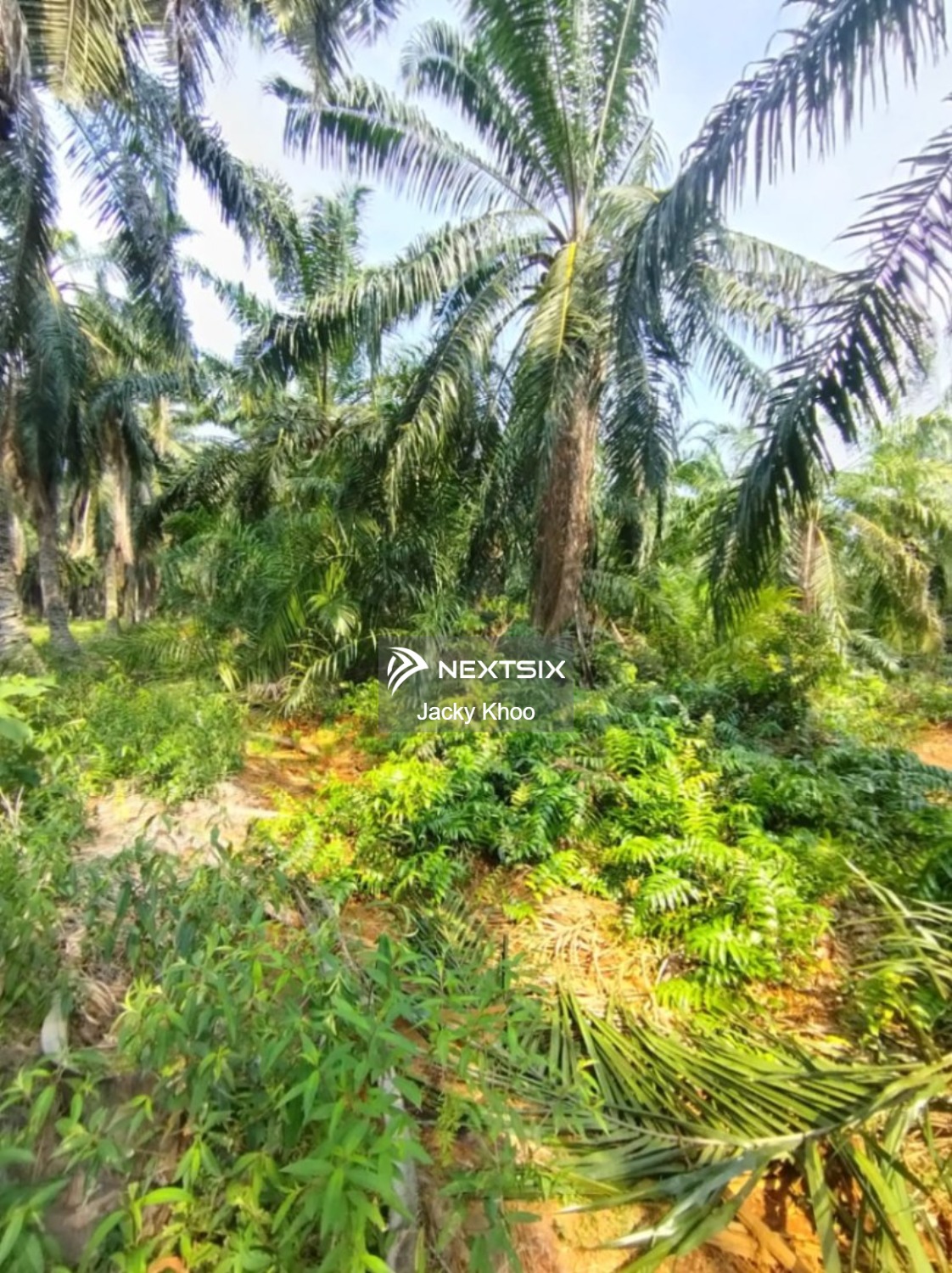 Agricultural Land For Sale in Jeram Selangor - Image 6