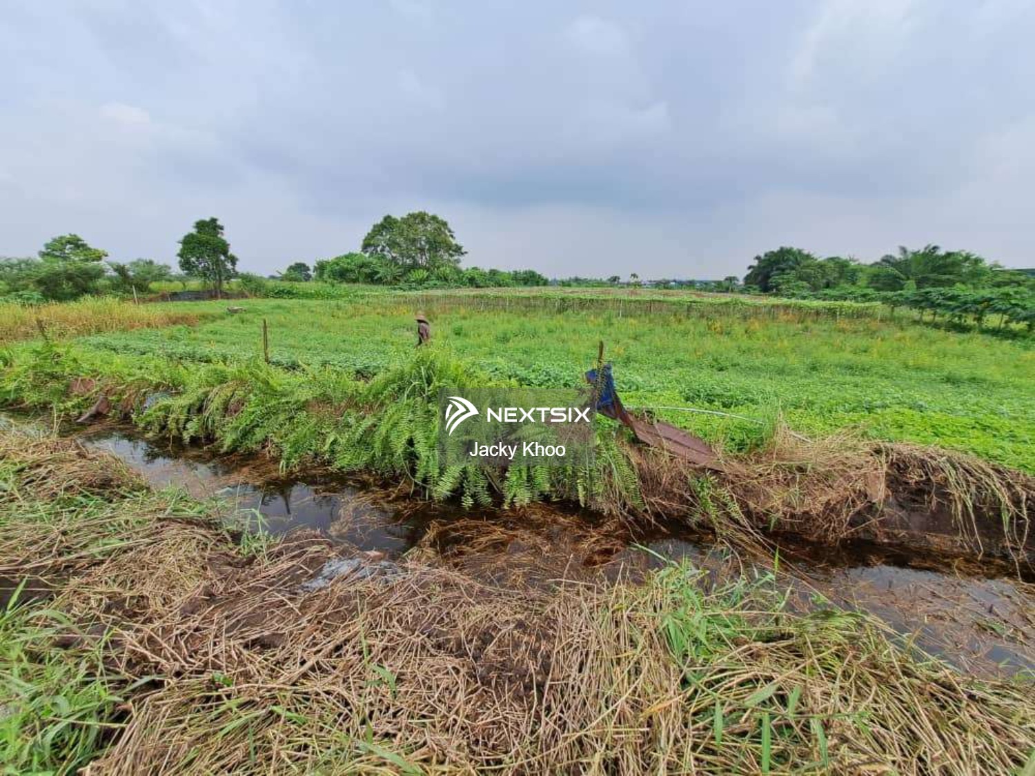 Agricultural Land For Sale in Klang Selangor - Image 6