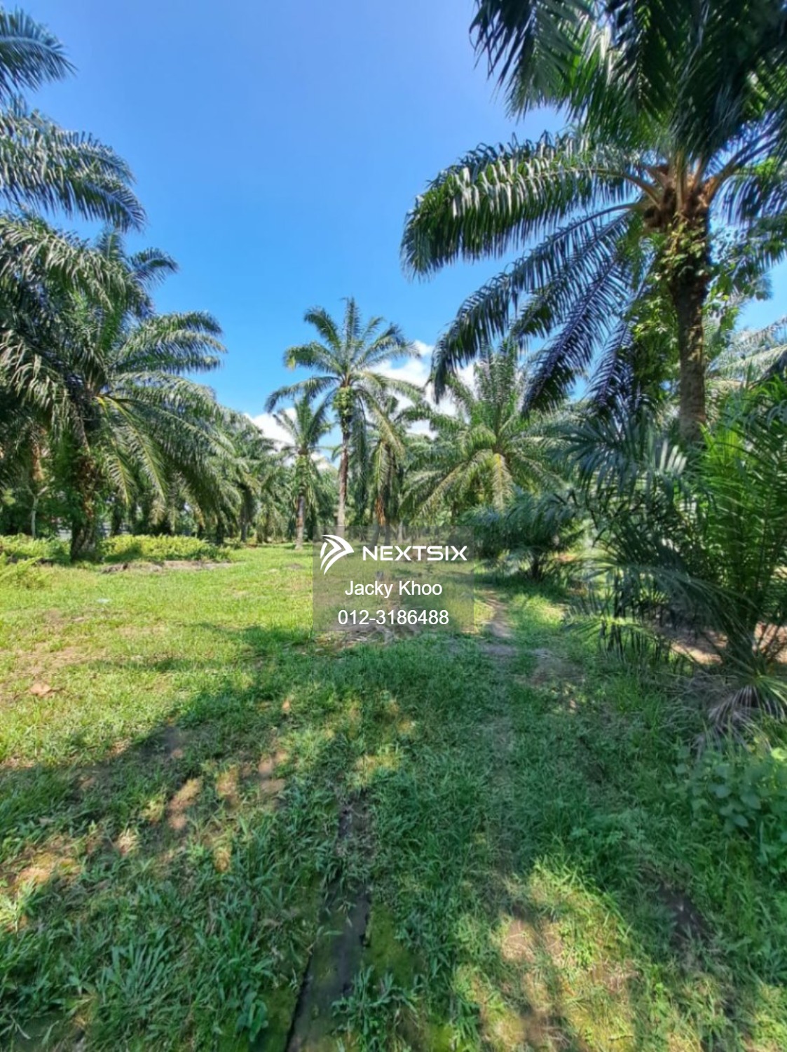 Agricultural Land For Sale in Tanjong Sepat Selangor - Image 7