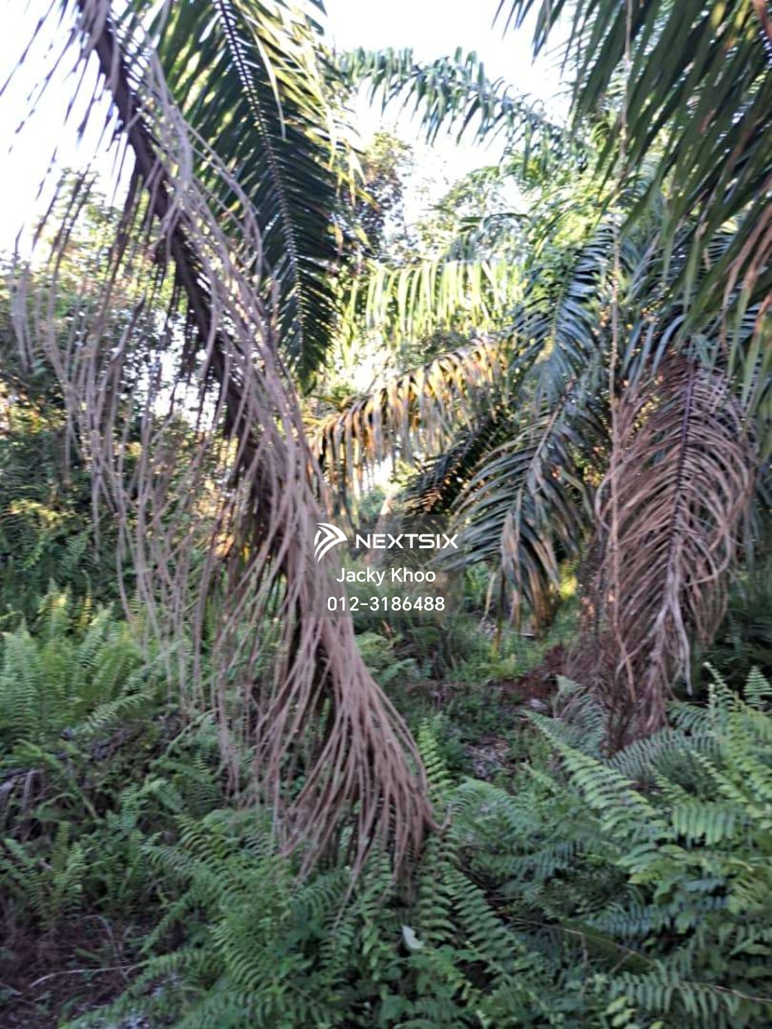 Agricultural Land For Sale in Klang Selangor - Image 2