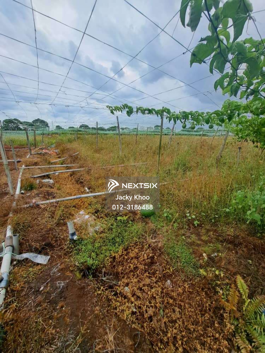 Agricultural Land For Sale in Klang Selangor - Image 4