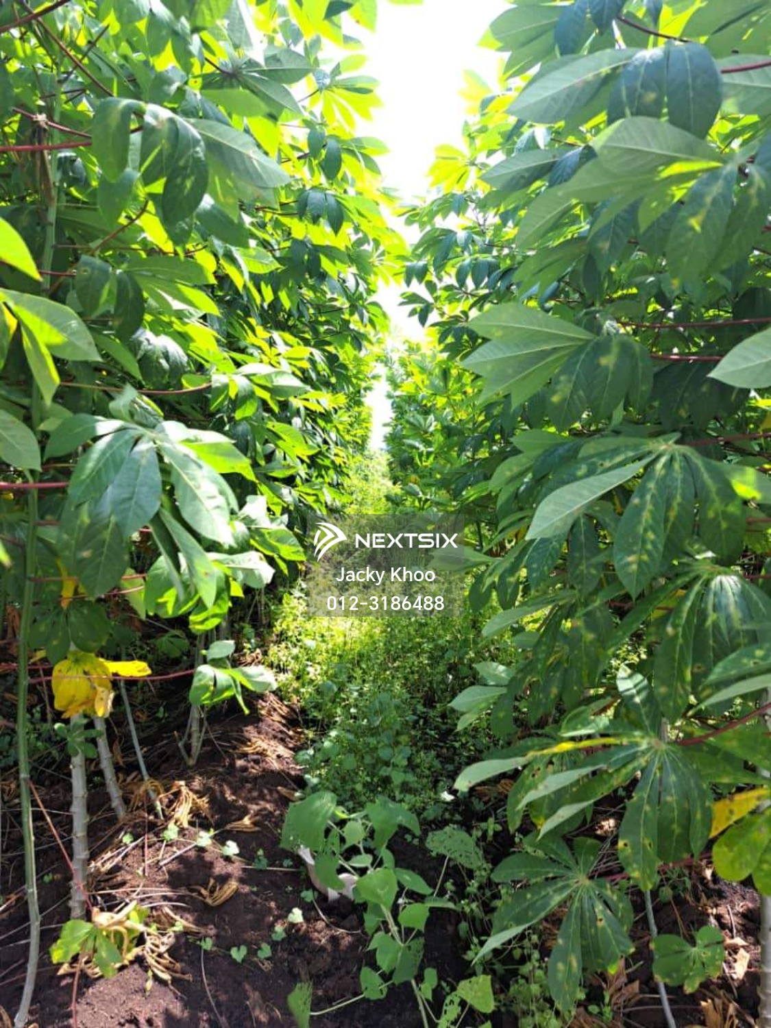 Agricultural Land For Sale in Klang Selangor