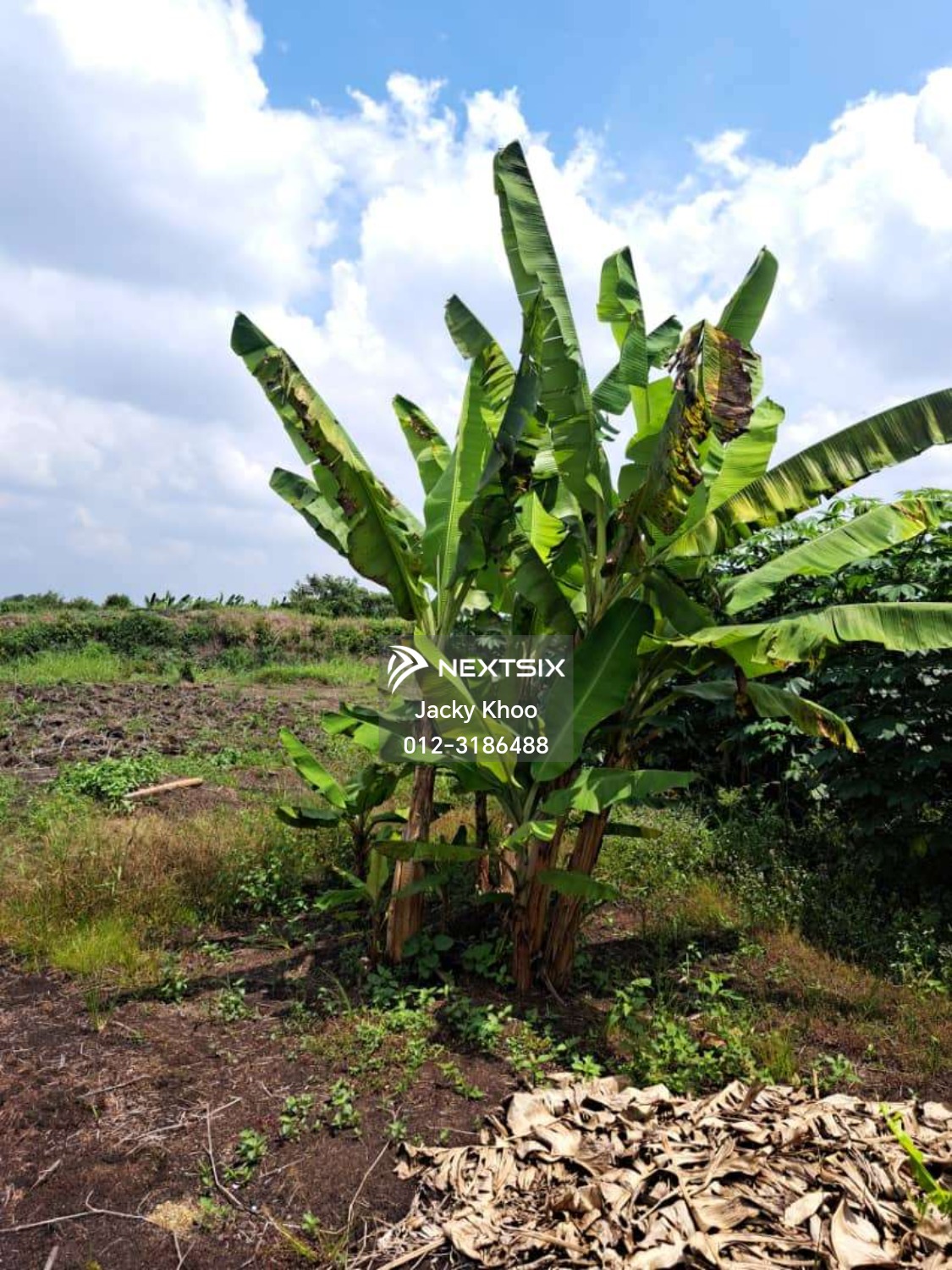 Agricultural Land For Sale in Klang Selangor - Image 2