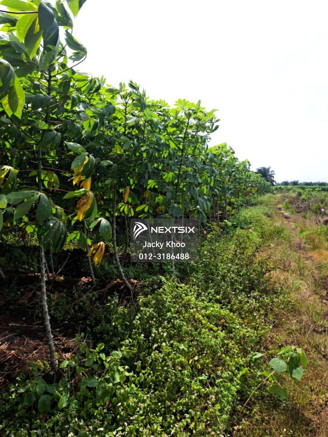 Agricultural Land For Sale in Klang Selangor - Image 4