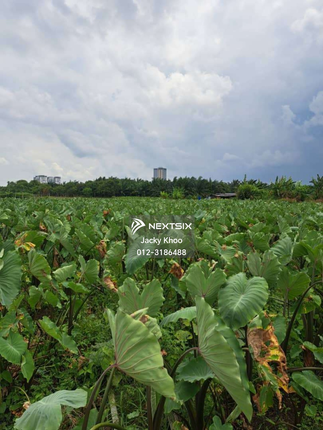 Agricultural Land For Sale in Klang Selangor - Image 4