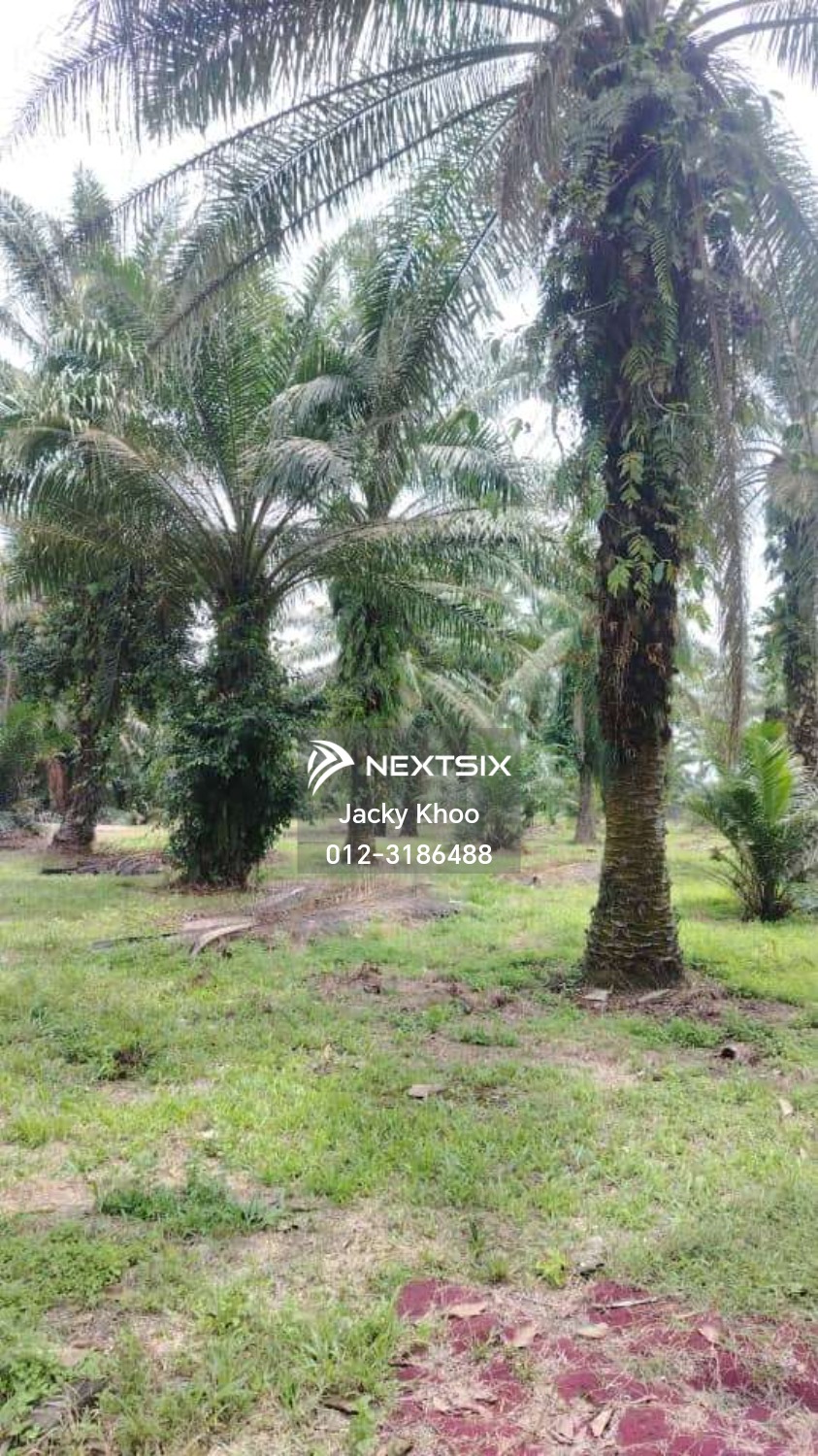 Industrial Land For Sale in Jenjarom Selangor