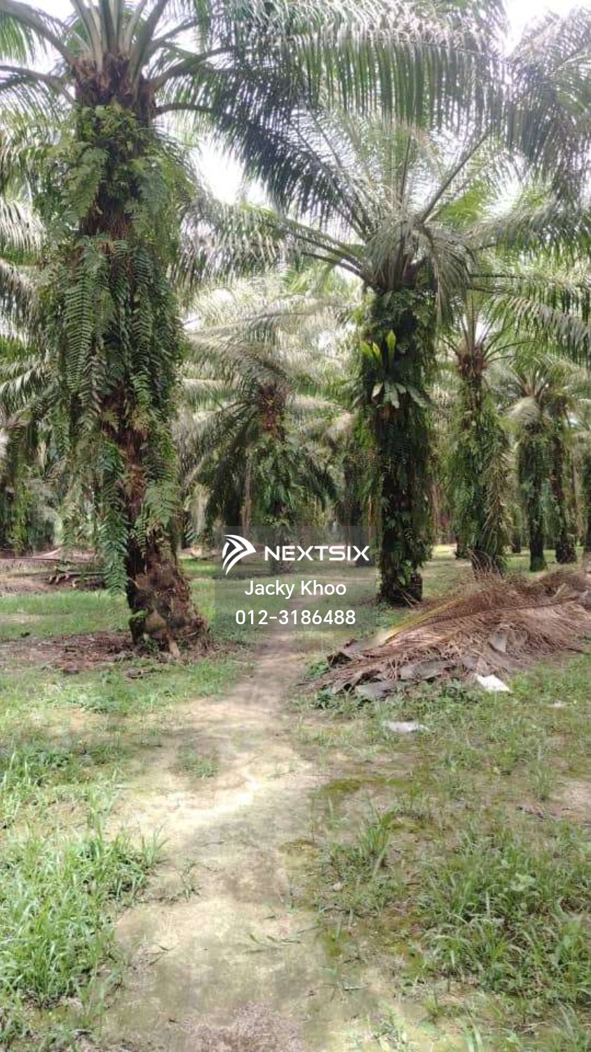 Industrial Land For Sale in Jenjarom Selangor