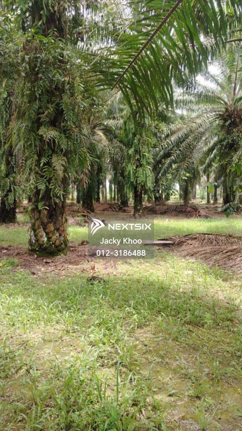 Industrial Land For Sale in Jenjarom Selangor - Image 2