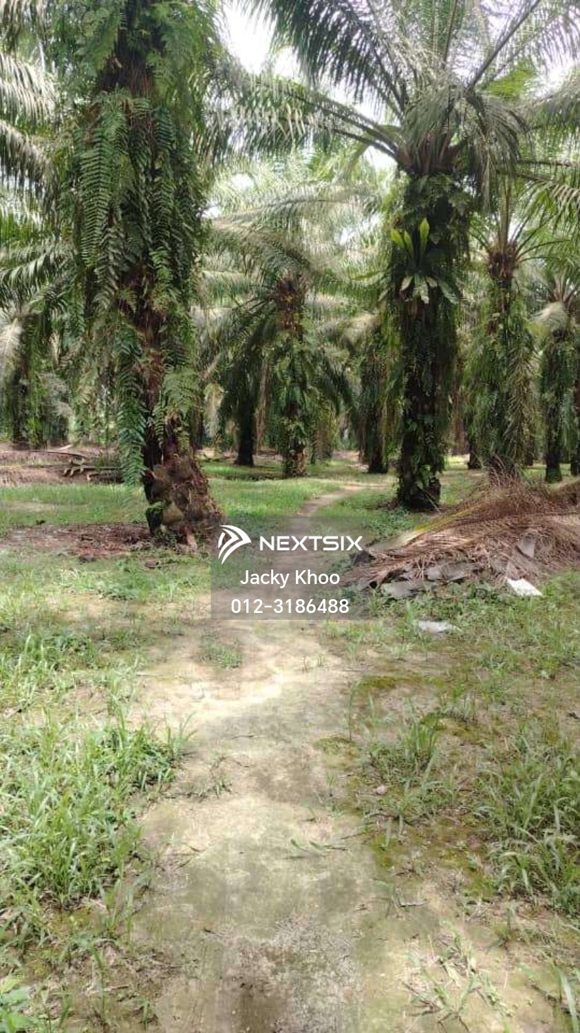 Industrial Land For Sale in Jenjarom Selangor - Image 5