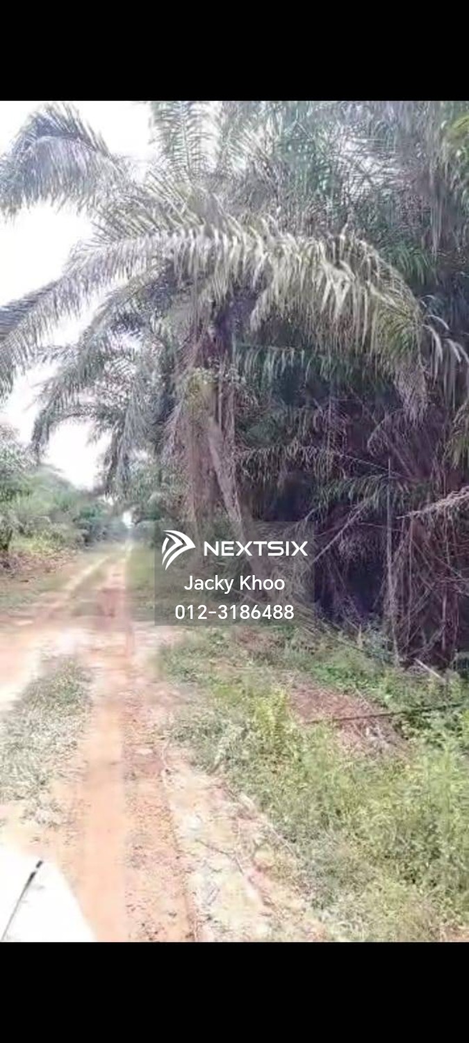 Agricultural Land For Sale in Telok Panglima Garang Selangor