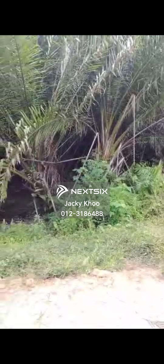 Agricultural Land For Sale in Telok Panglima Garang Selangor - Image 2