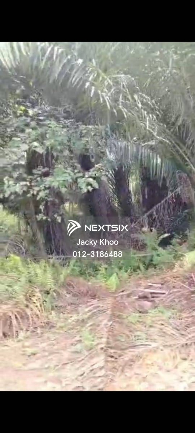 Agricultural Land For Sale in Telok Panglima Garang Selangor - Image 3