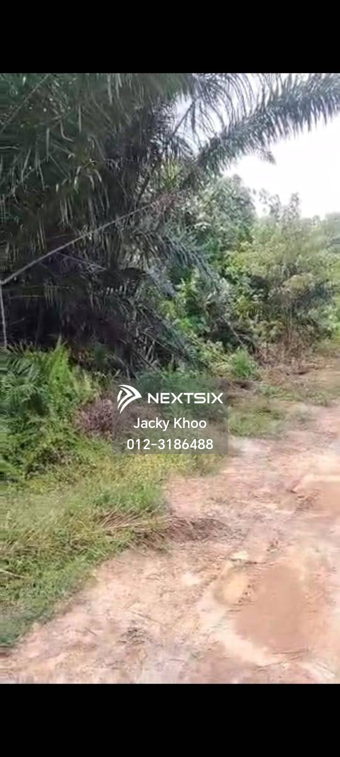 Agricultural Land For Sale in Telok Panglima Garang Selangor - Image 4