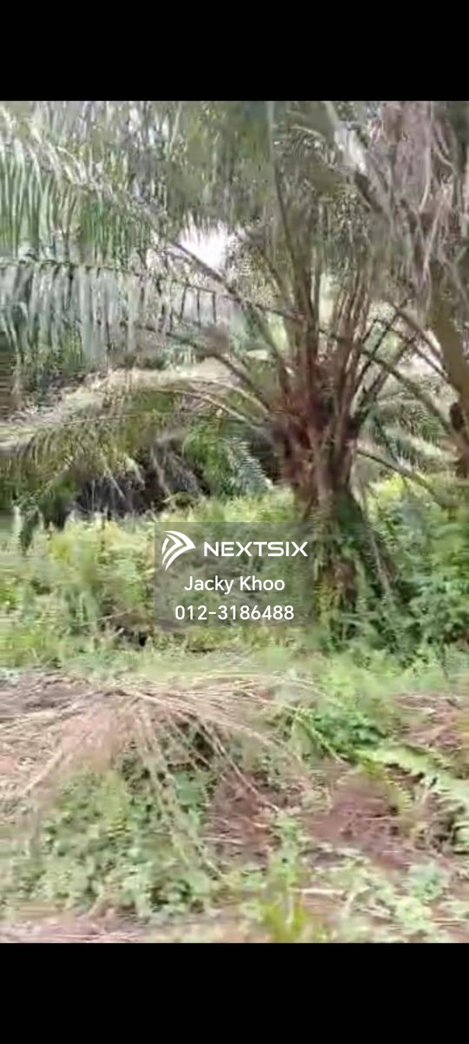 Agricultural Land For Sale in Telok Panglima Garang Selangor - Image 5