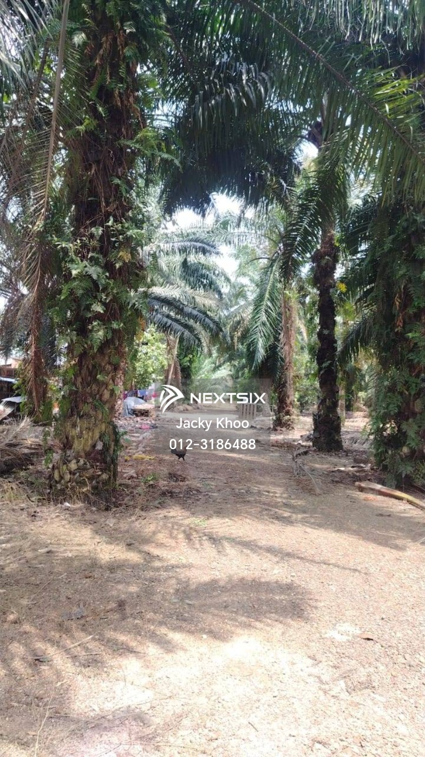 Industrial Land For Sale in Telok Panglima Garang Selangor