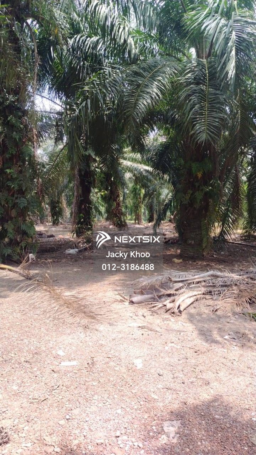 Industrial Land For Sale in Telok Panglima Garang Selangor - Image 5