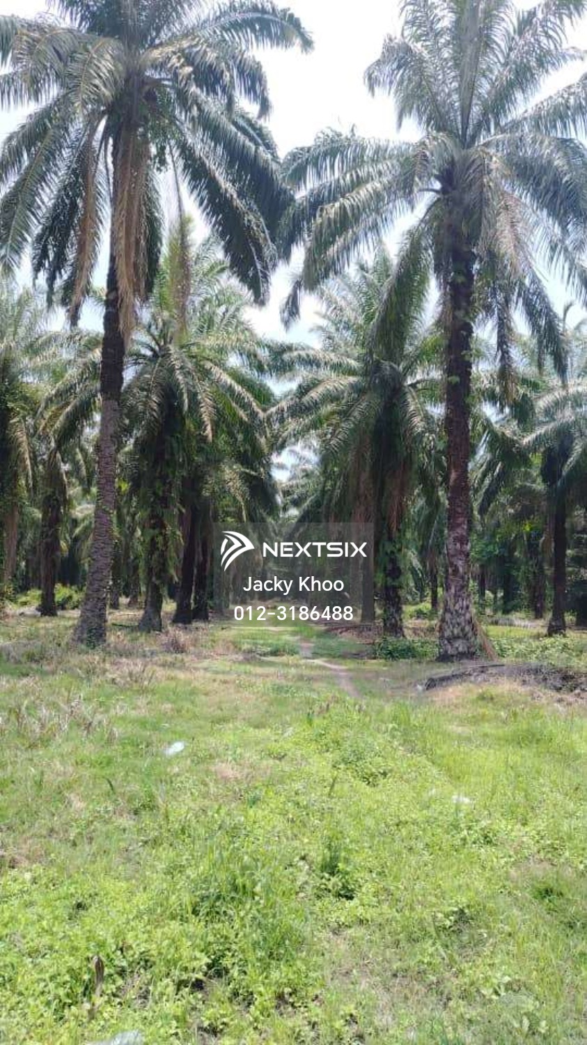 Industrial Land For Sale in Telok Panglima Garang Selangor - Image 2
