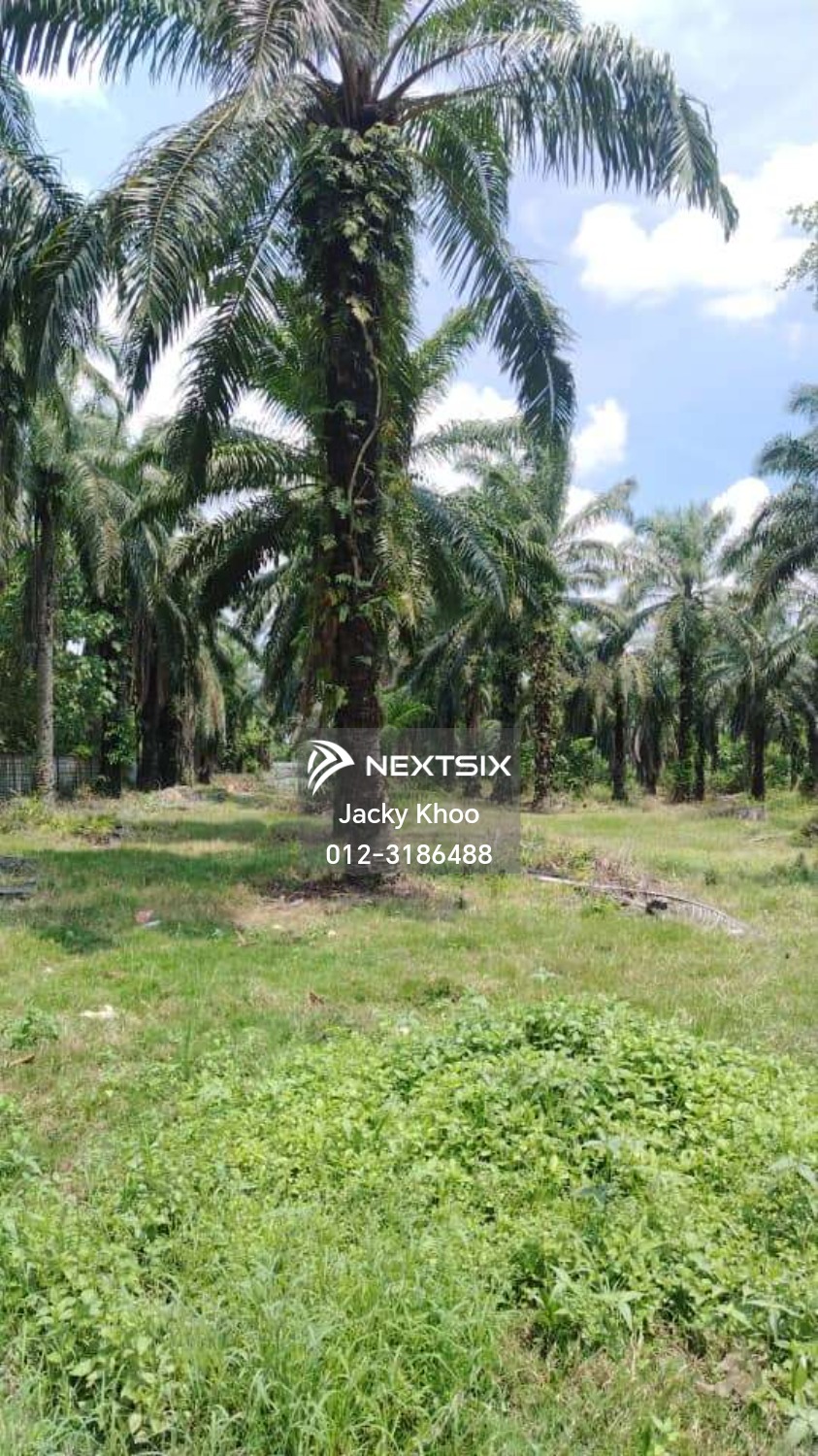 Industrial Land For Sale in Telok Panglima Garang Selangor - Image 6