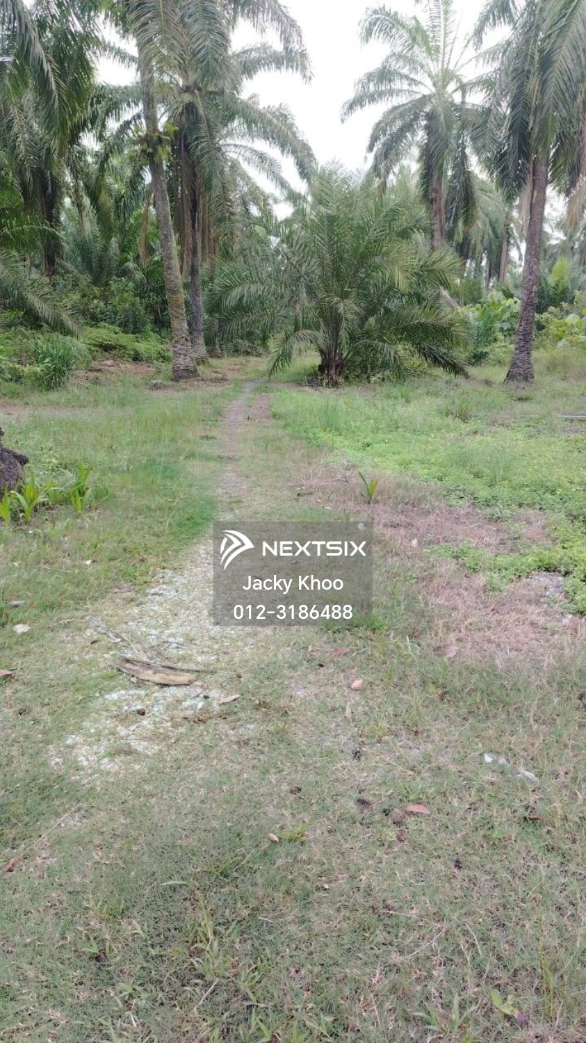 Industrial Land For Sale in Banting Selangor - Image 2