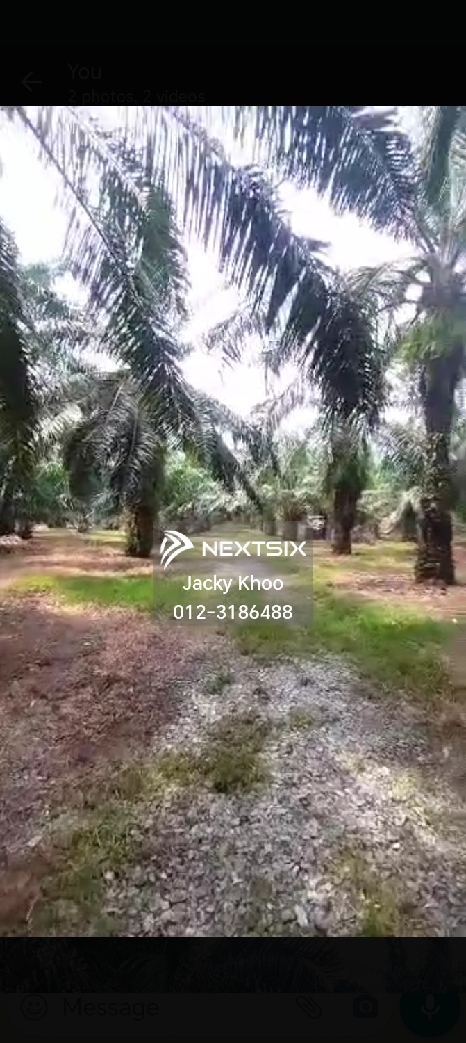 Agricultural Land For Sale in Kundang Selangor