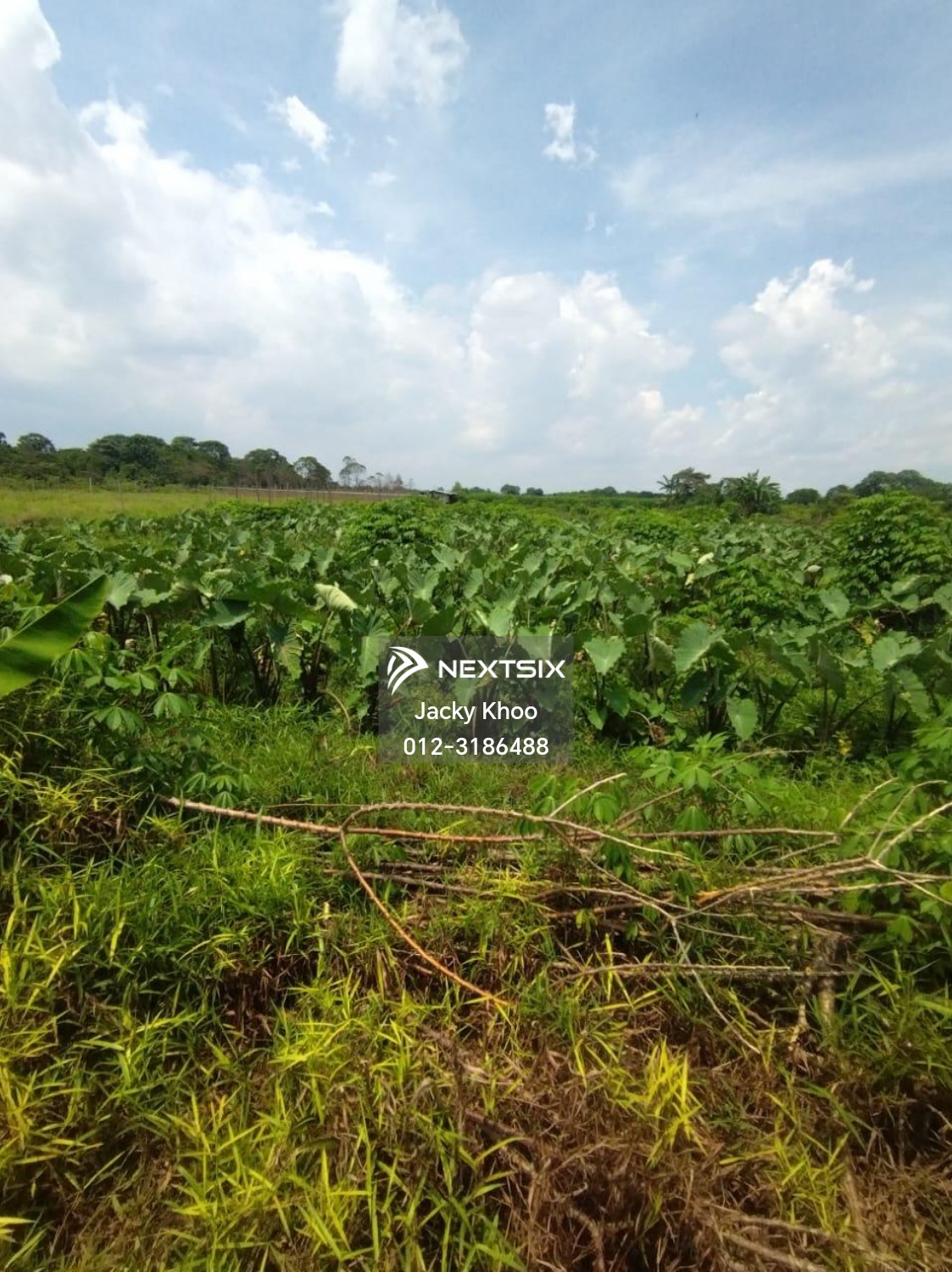 Agricultural Land For Sale in Klang Selangor