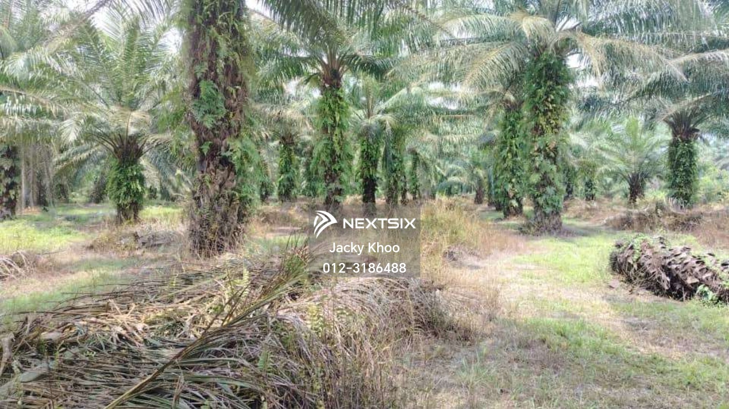 Industrial Land For Sale in Jenjarom Selangor