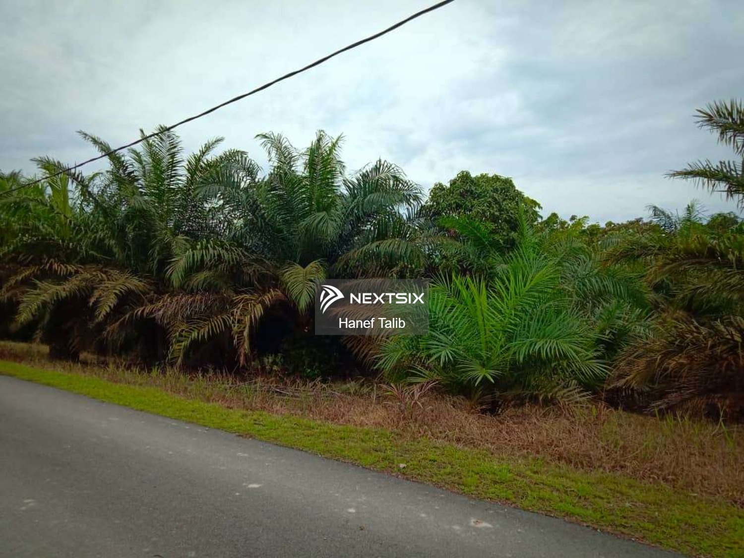 Agricultural Land For Sale in Ayer Hitam Johor