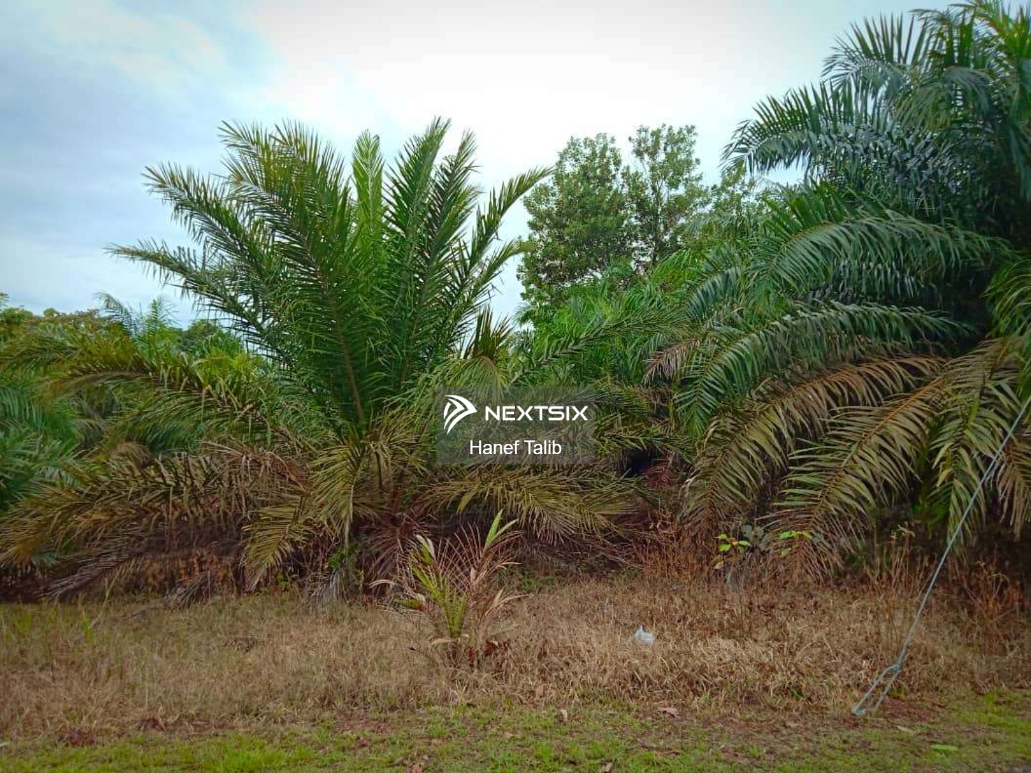 Agricultural Land For Sale in Ayer Hitam Johor - Image 2