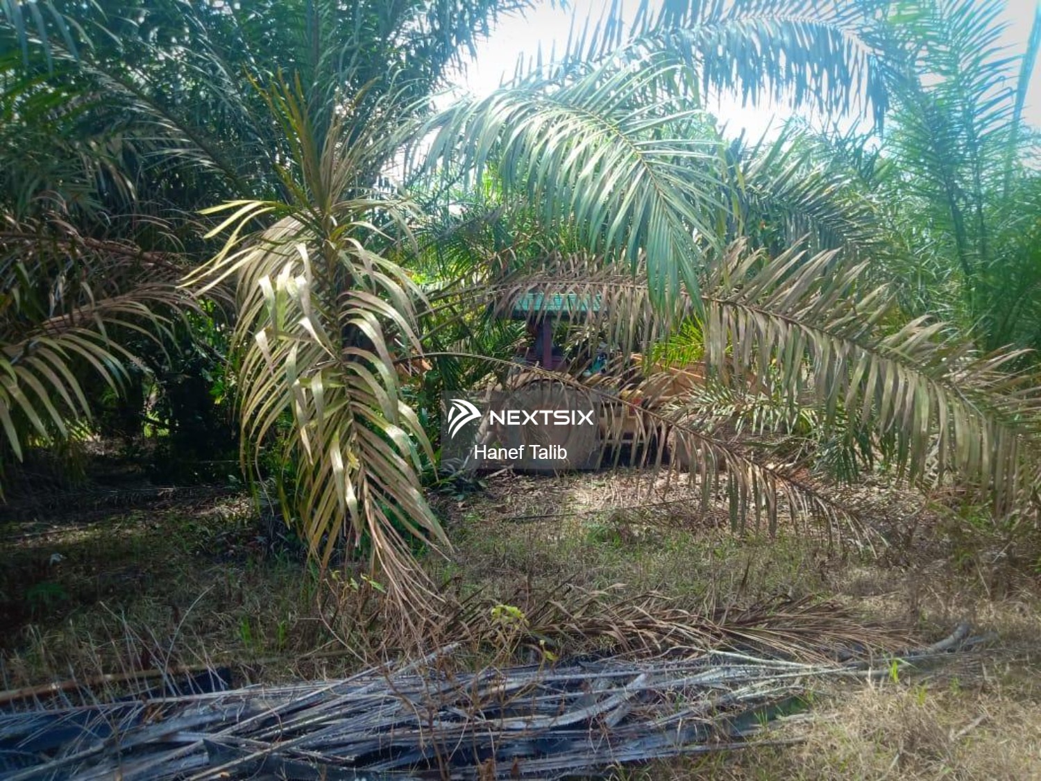 Agricultural Land For Sale in Ayer Hitam Johor - Image 4
