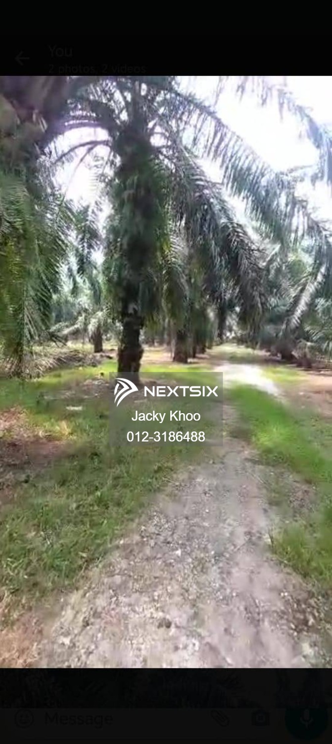 Agricultural Land For Sale in Banting Selangor - Image 2