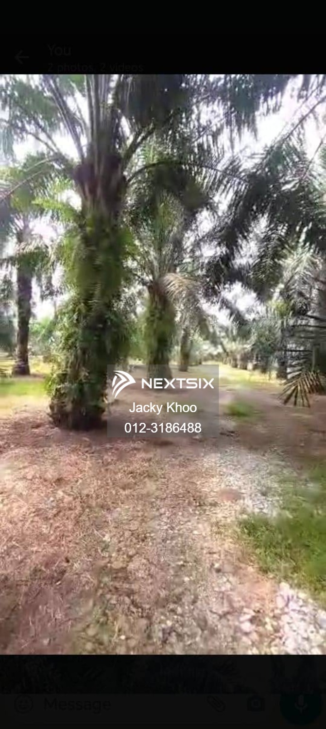 Agricultural Land For Sale in Banting Selangor - Image 3