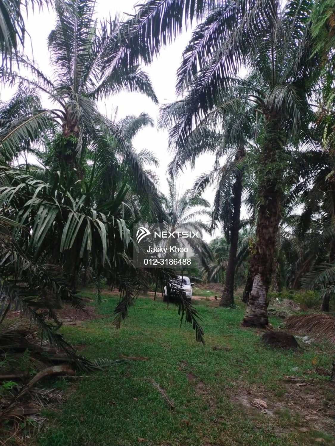 Agricultural Land For Sale in Banting Selangor