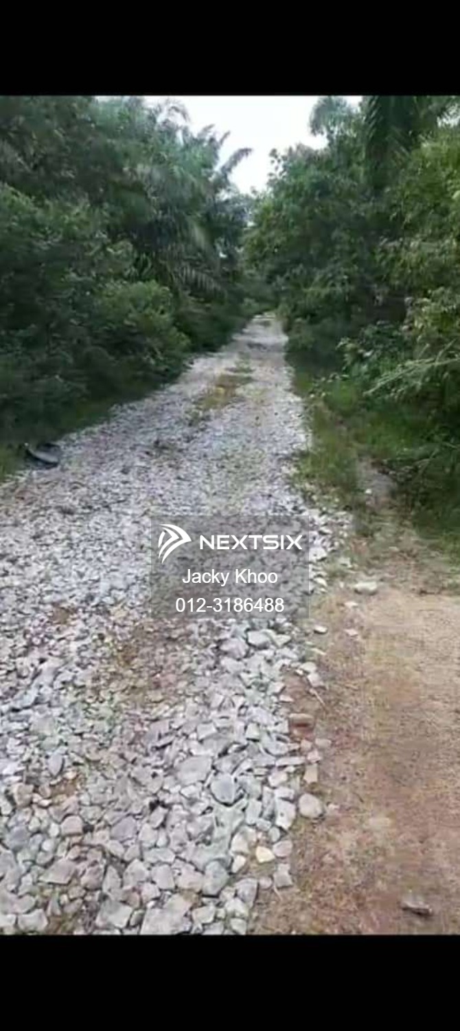 Agricultural Land For Sale in Banting Selangor - Image 5