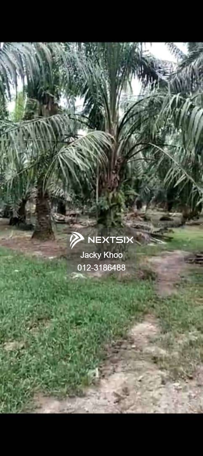 Agricultural Land For Sale in Banting Selangor - Image 6