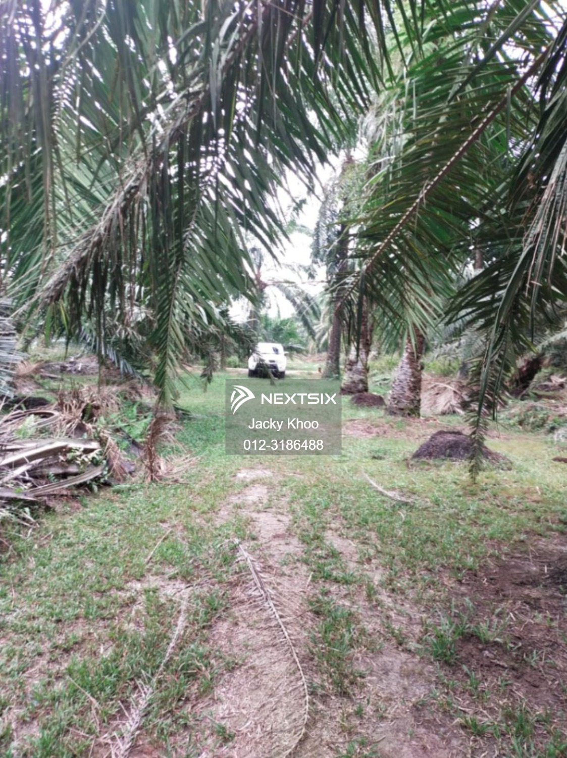 Agricultural Land For Sale in Banting Selangor - Image 7