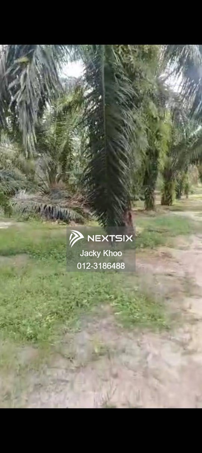 Agricultural Land For Sale in Banting Selangor - Image 10