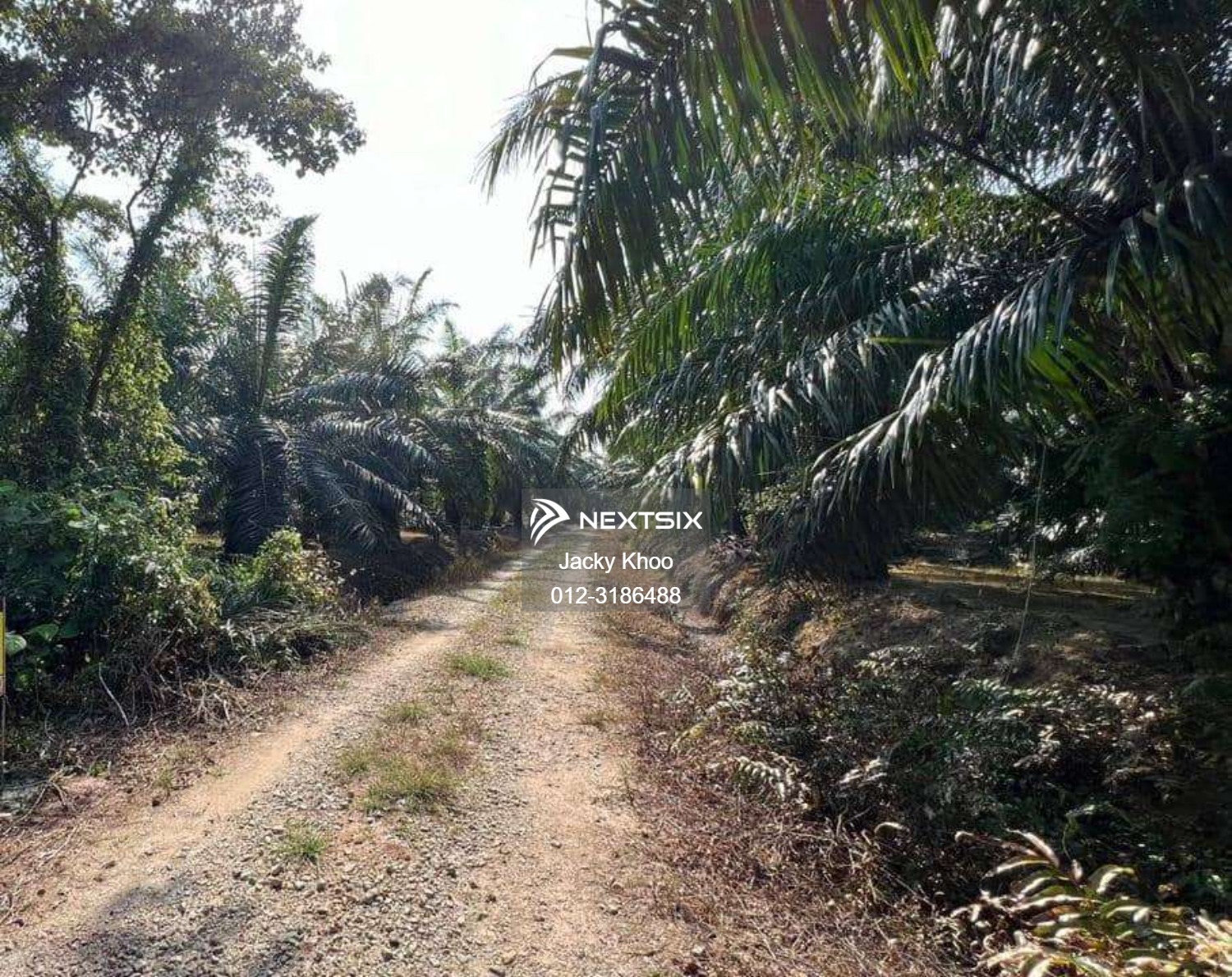 Agricultural Land For Sale in Banting Selangor - Image 2